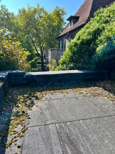 Laub auf Garagendach entfernen